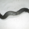 Шланг отопителя вЫпускной 565563897 95031264 95937501 Шевроле Круз LUV 1,4 литра Турбо  S-65 - БУ