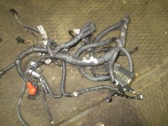 Проводка жгут двигателя Ниссан Тиида, Верса C11X 24011ZW87A седан 1,8 литра MR18DE  - БУ