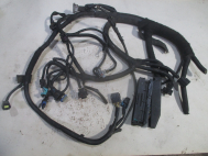 Проводка жгут двигателя 95150458 95132820 Шевроле Спарк М300 с МКПП 1,0 литр - L0-73, - БУ