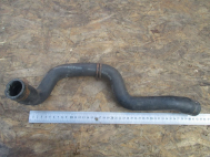 Шланг радиатора верхний 1S418B274BF Форд Фокус 1,4-1,8 литра 1311122, - БУ