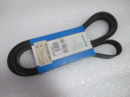 Ремень 6PK2550, 4891598AB приводной Dodge Caliber Додж Калибер 2,0 литра , - Dayco