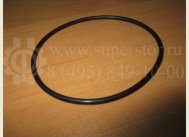 Кольцо уплотнительное помпы водяной 94580509, 90076127 Ланос Авео Лачетти - Febi