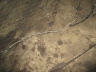 Топливная трасса-магистраль трубки 95076496 Шевроле Кобальт, - БУ