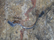 Датчик положения коленвала Шевроле Ланос, Лачетти, Дэу Нексия 96183235, 25198943, - БУ LR