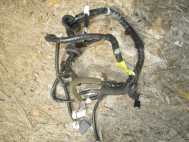 Проводка жгут двери передней левой 241253AN0AA Ниссан Тиида Тиида N17X, - БУ