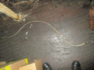 Трос ручного тормоза 1101841, 1088016 Форд Фокус 1 2,0 литра 16V Zetec Европеец, - БУ