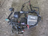 Проводка Жгут на мозги Форд Фьюжен 1,4 литра 1369355, - БУ