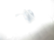 Пробка масляного поддона 1112895F0A Ниссан Кашкай J11 MR20DD Nissan