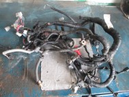 Проводка жгут двигателя Ниссан Тиида, Верса C11 240129KF3A седан 1,6 литра HR16DE, - БУ