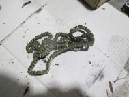 Цепь ГРМ 1124373, 3L8Z6268AA Форд Фокус 1-2 Эскейп, Мазда на 2,0-2,3 литра 16 кл, - БУ