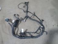 Проводка жгут двигателя 96423361 Шевроле Авео Т200 с МКПП 1,2л B12S1 72 лс 53 кВт, - БУ