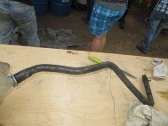 Шланг от радиатора 98AB8K289AG до бачка расширительного Форд Фокус 1 1,4 литра, - БУ