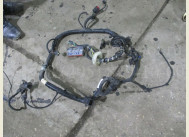 Проводка жгут 1M5T12A522GHB двигателя с блоком предохранителя Форд Фокус 1 - 2,0 литра Zetec, - БУ