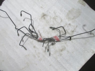 Трубка тормозная Форд Фокус 2 Универсал передняя 1568195 от блока АБС 1492850, - БУ