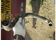 Шланг от термостата к нижнему шлангу радиатора 96398598 Дэу Матиз, - БУ